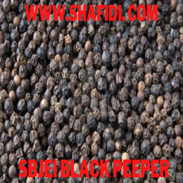 BLACK PEEPER